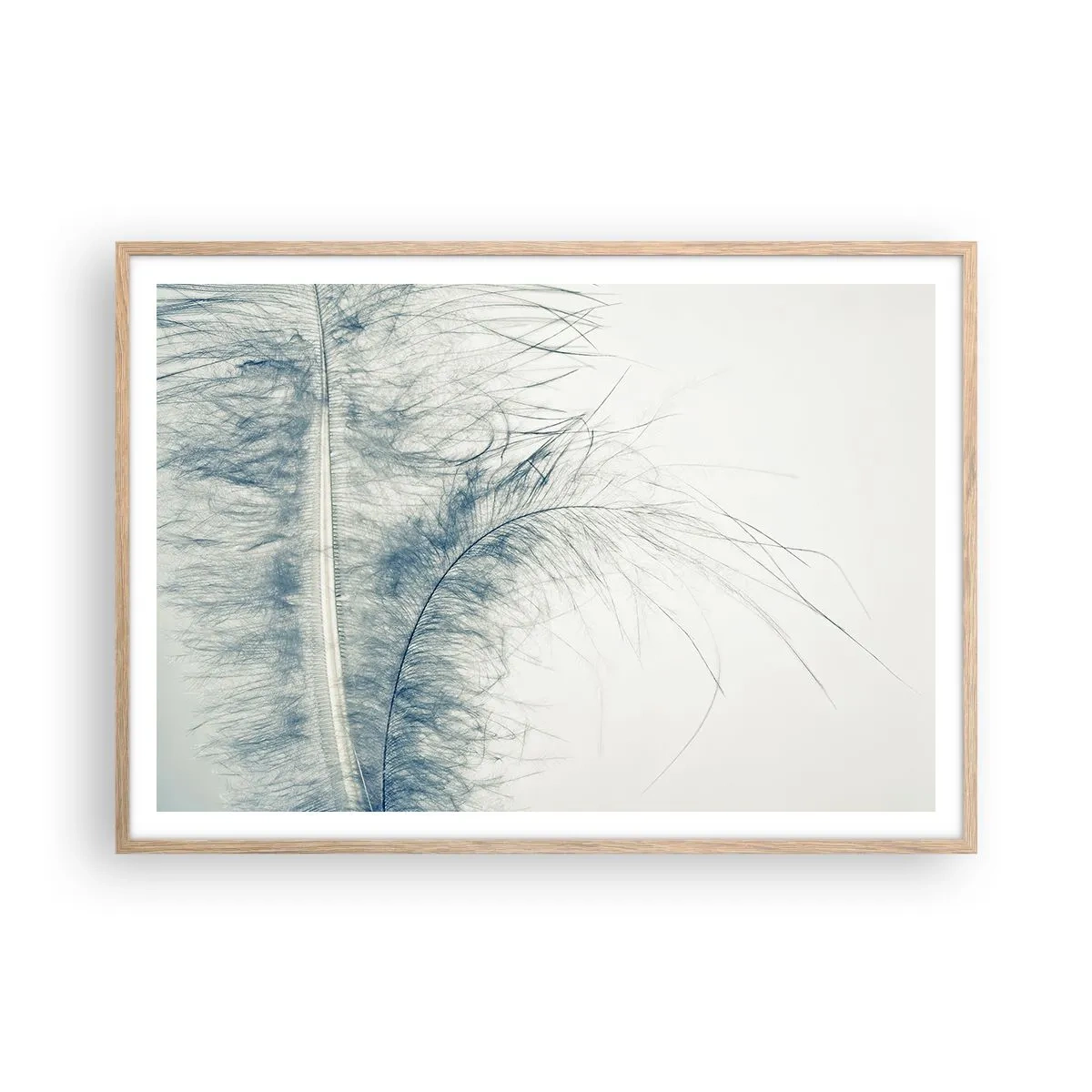 Affiche dans un chêne clair - Poster - Les sept natures - 100x70 cm