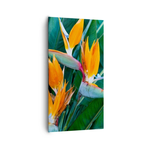 Impression sur toile - Image sur toile - Est-ce une fleur, est-ce un oiseaux? - 65x120 cm