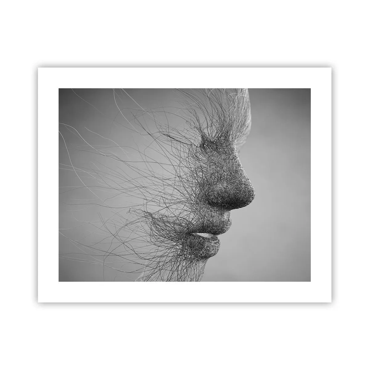 Affiche - Poster - L'esprit du vent - 50x40 cm