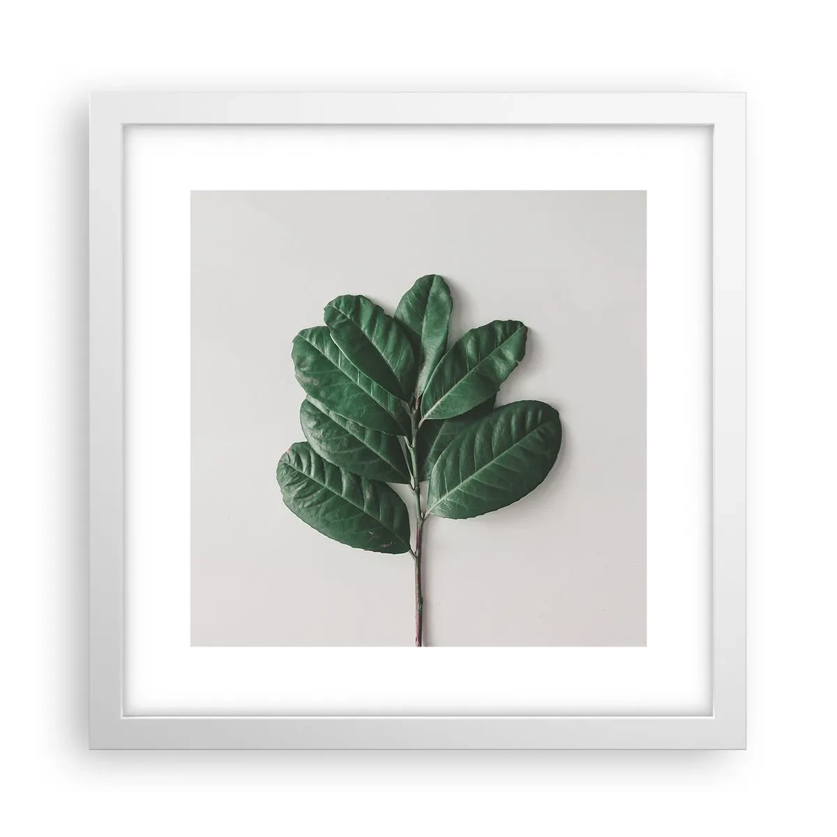 Affiche dans un cadre blanc - Poster - Dessin de la nature elle-même - 30x30 cm