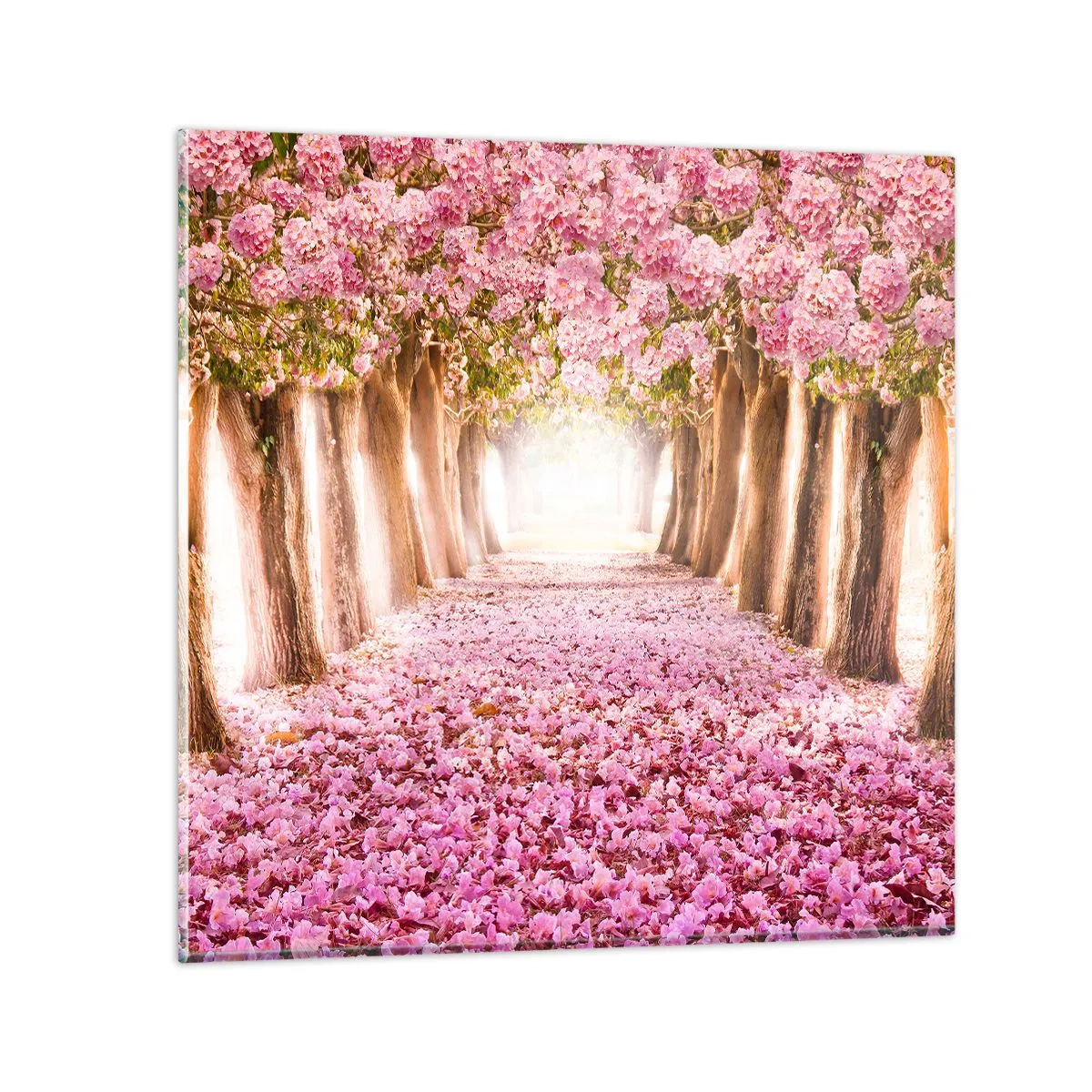 Impression sur verre - Image sur verre - La route du paradis - 70x70 cm