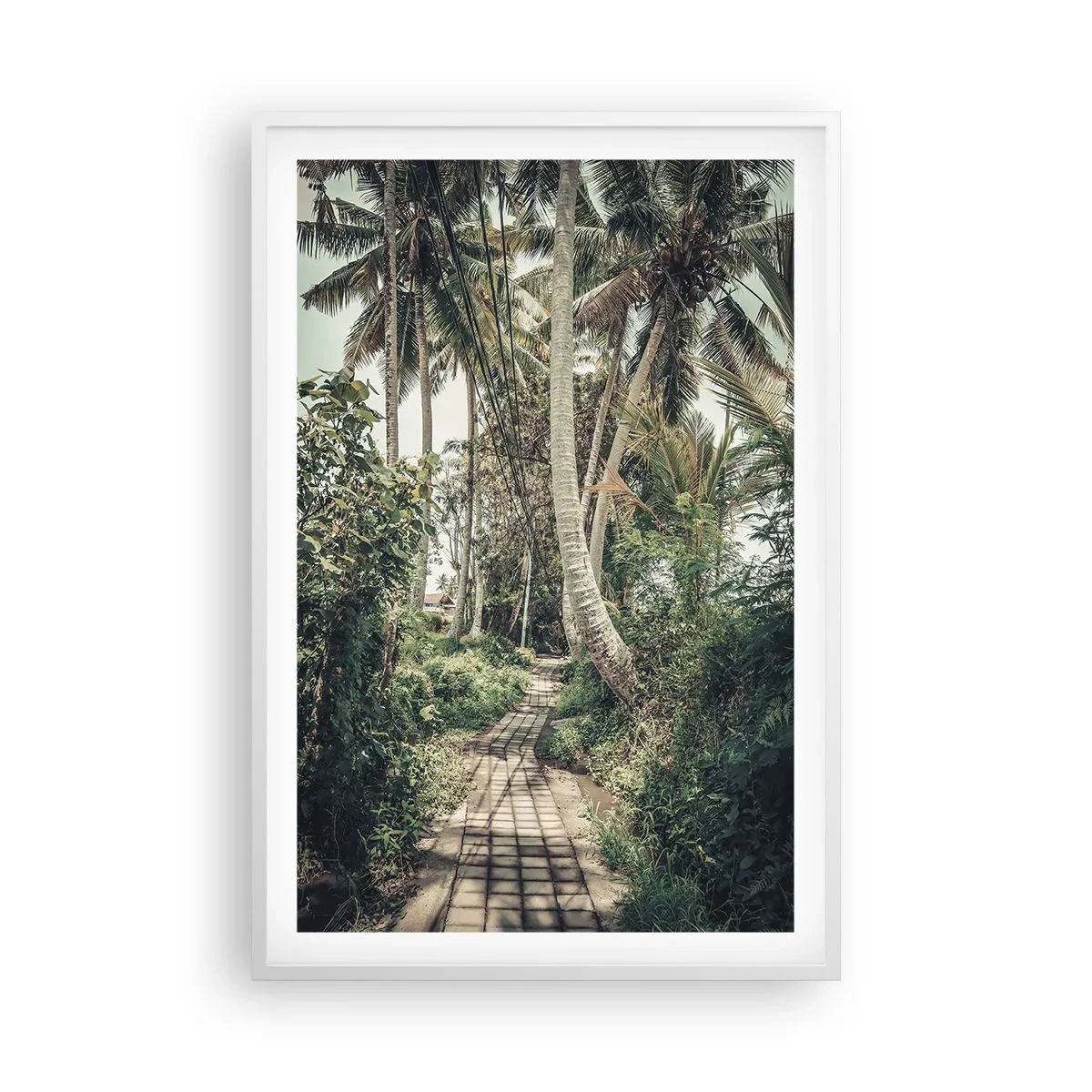 Affiche dans un cadre blanc - Poster - Allée des palmiers - 61x91 cm