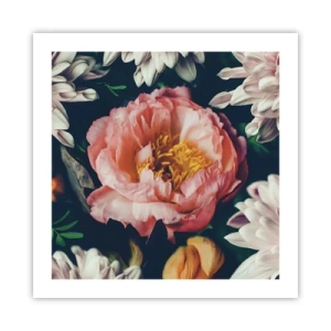 Affiche - Poster - Splendeur baroque - 50x50 cm