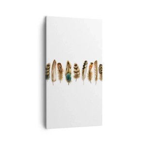 Impression sur toile - Image sur toile - Variation à plumes - 45x80 cm