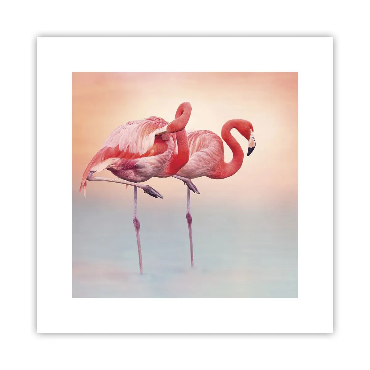 Affiche - Poster - Dans les couleurs du soleil couchant - 30x30 cm