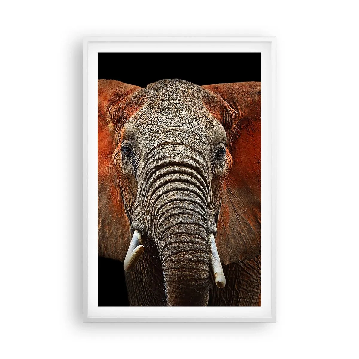 Affiche dans un cadre blanc - Poster - Je suis sauvage, et toi? - 61x91 cm