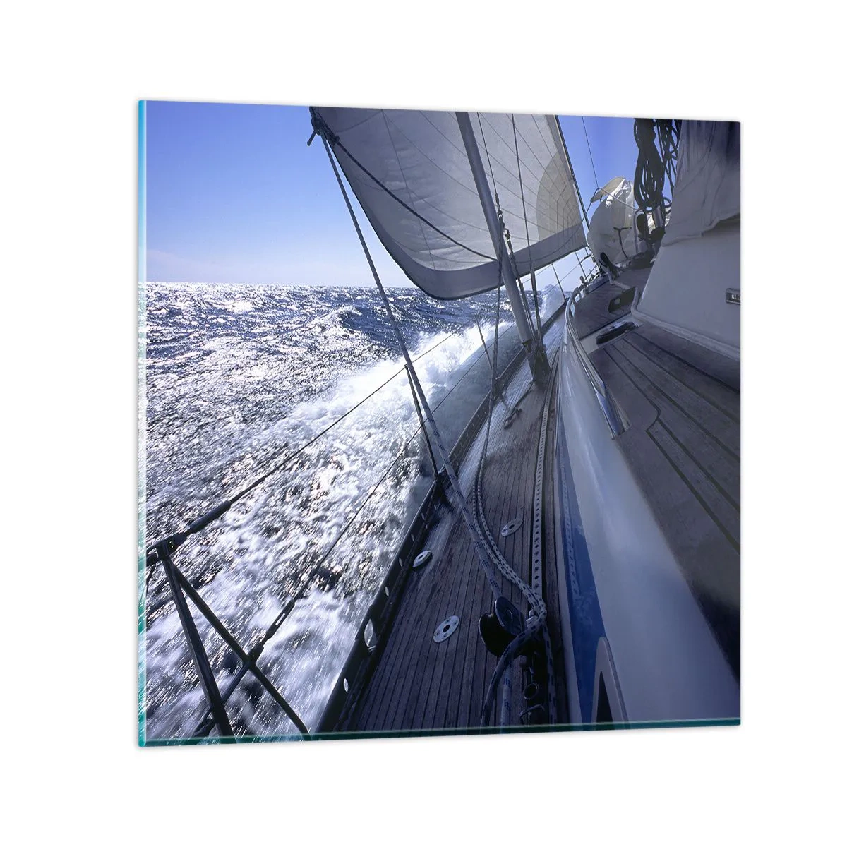 Impression sur verre - Image sur verre - Je sais ce que c'est d'être un oiseau - 50x50 cm