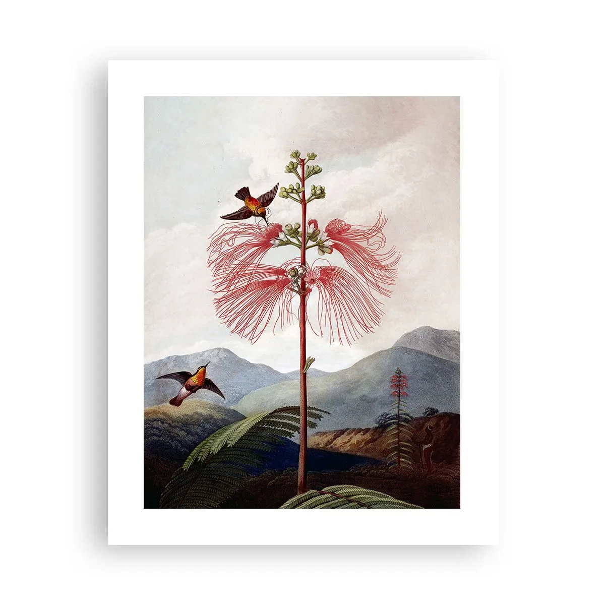 Affiche - Poster - Dans un paradis tropical - 40x50 cm