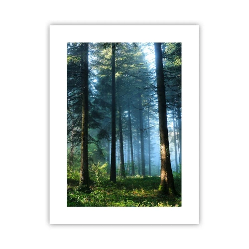 Affiche - Poster - Rayonnant le matin - 30x40 cm