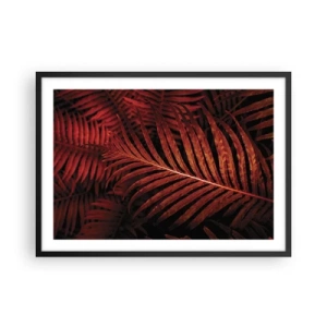 Affiche dans un cadre noir - Poster - Gros plan de feuilles tropicales rouges - 70x50cm - Chaleur de la vie - Décoration murale moderne pour le salon et la chambre ARTTOR