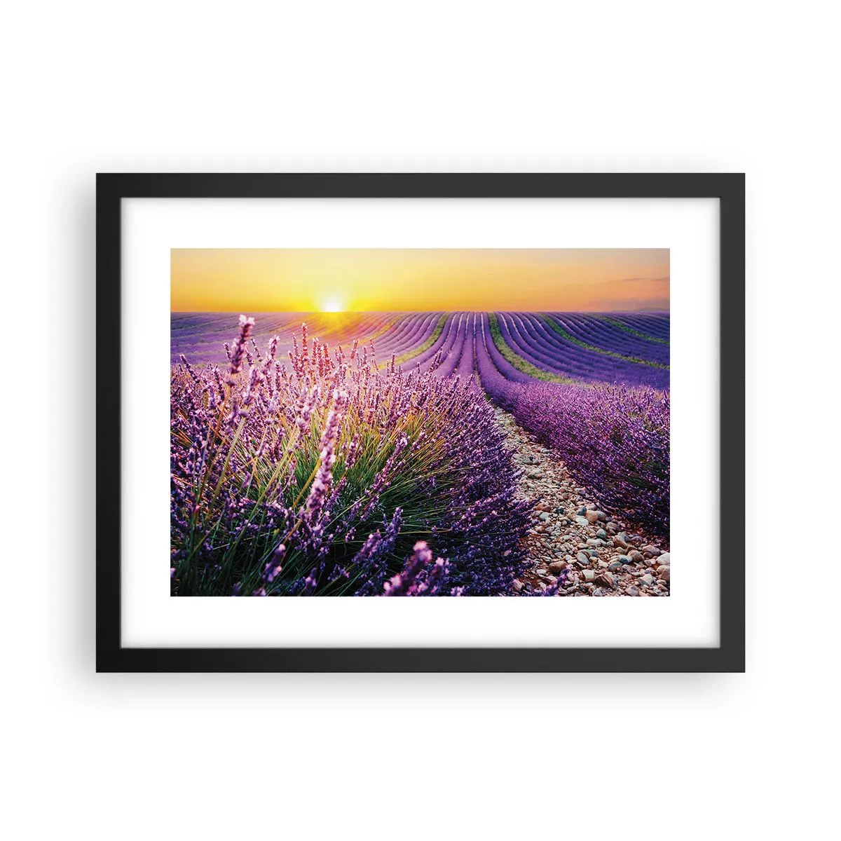 Affiche dans un cadre noir - Poster - Tige parfumée - 40x30 cm