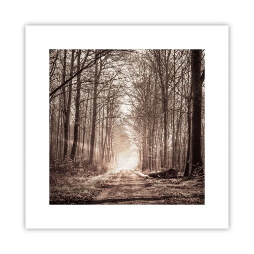 Affiche - Poster - Cathédrale de la forêt - 30x30 cm
