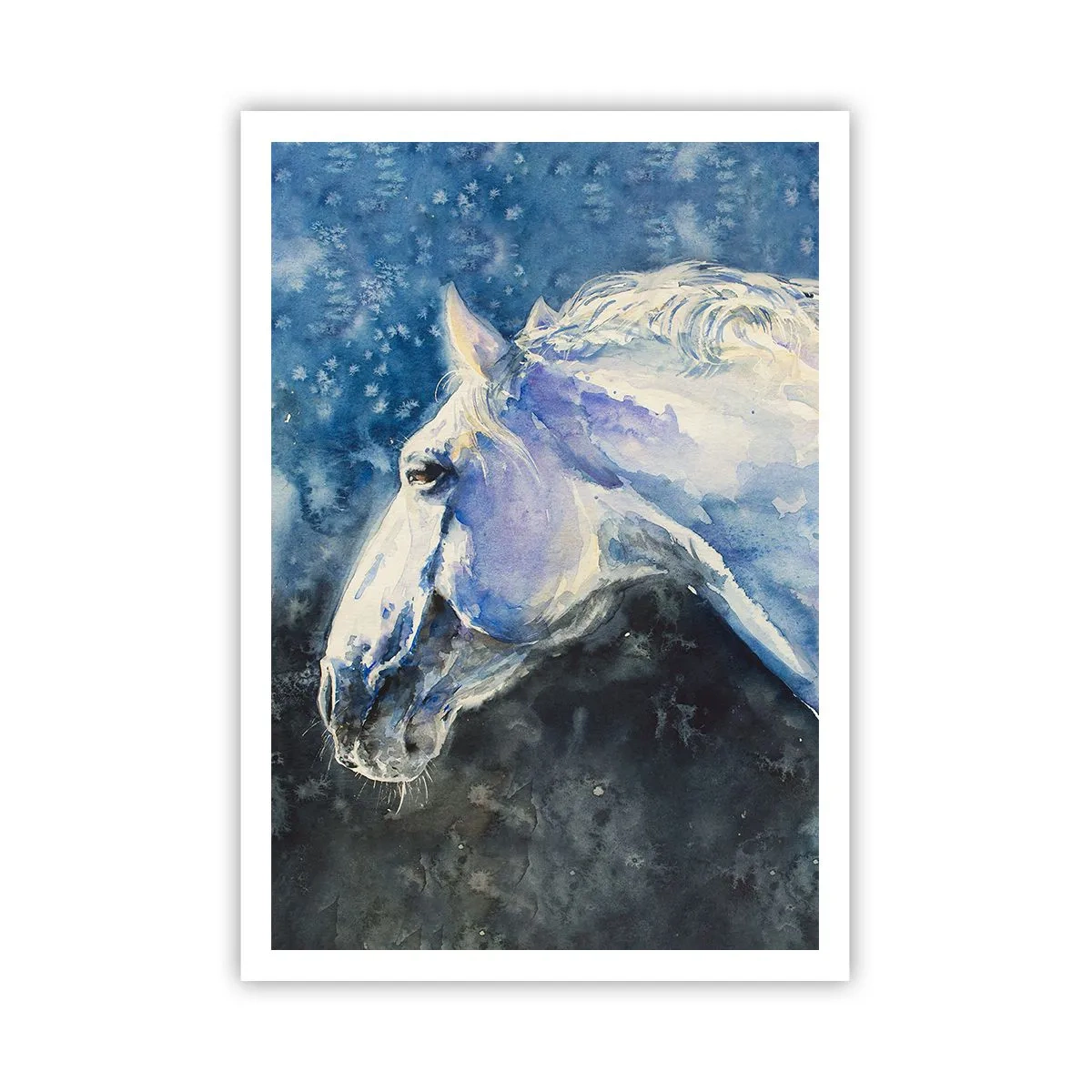 Affiche - Poster - Portrait dans une lueur azur - 70x100 cm