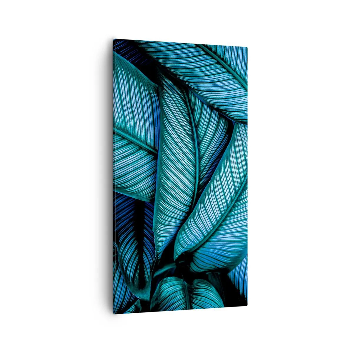 Impression sur toile - Image sur toile - Lignes de vie - 55x100 cm