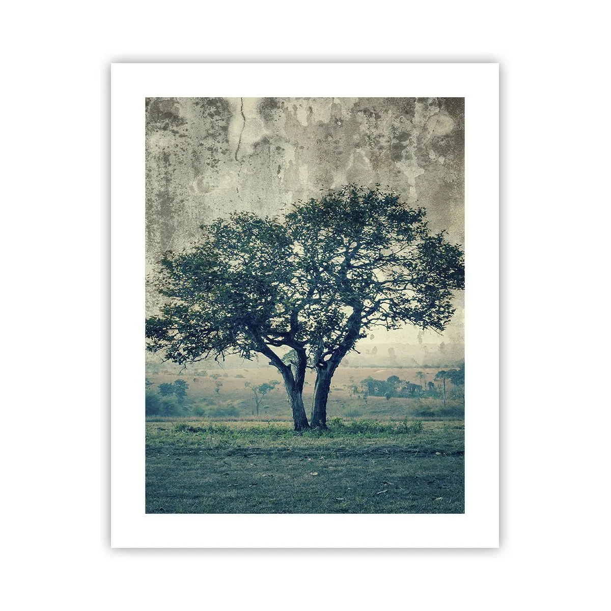 Affiche - Poster - Un pommier sur un champ bleu ? - 40x50 cm