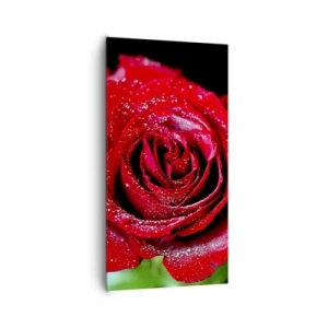 Impression sur toile - Image sur toile - C'est ça l'amour - 65x120 cm