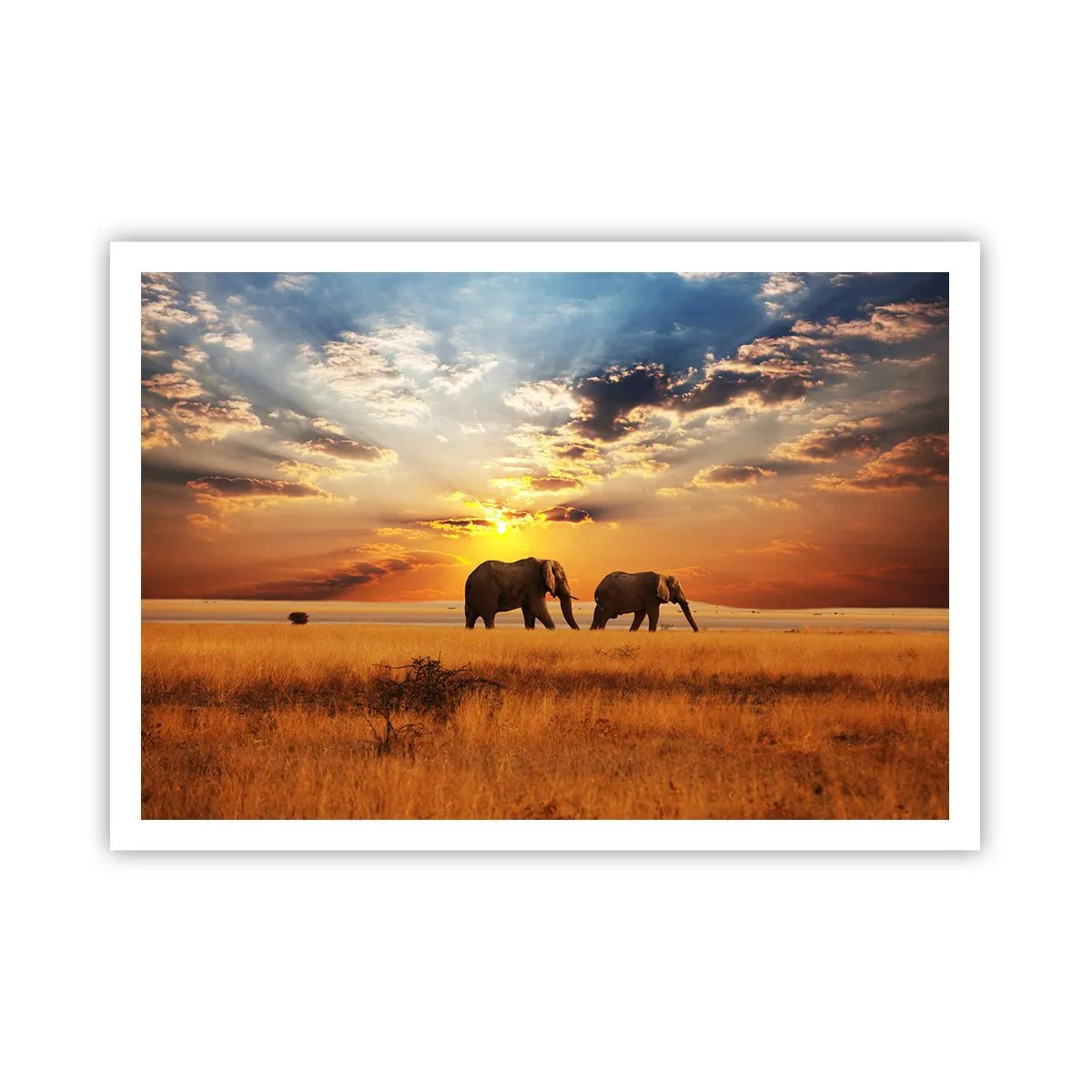 Affiche - Poster - Éléphants dans la savane au coucher du soleil - 100x70cm - Déambulation familliale - Décoration murale moderne pour le salon et la chambre ARTTOR