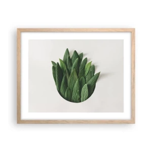 Affiche dans un chêne clair - Poster - Curiosité sans retenue - 50x40 cm