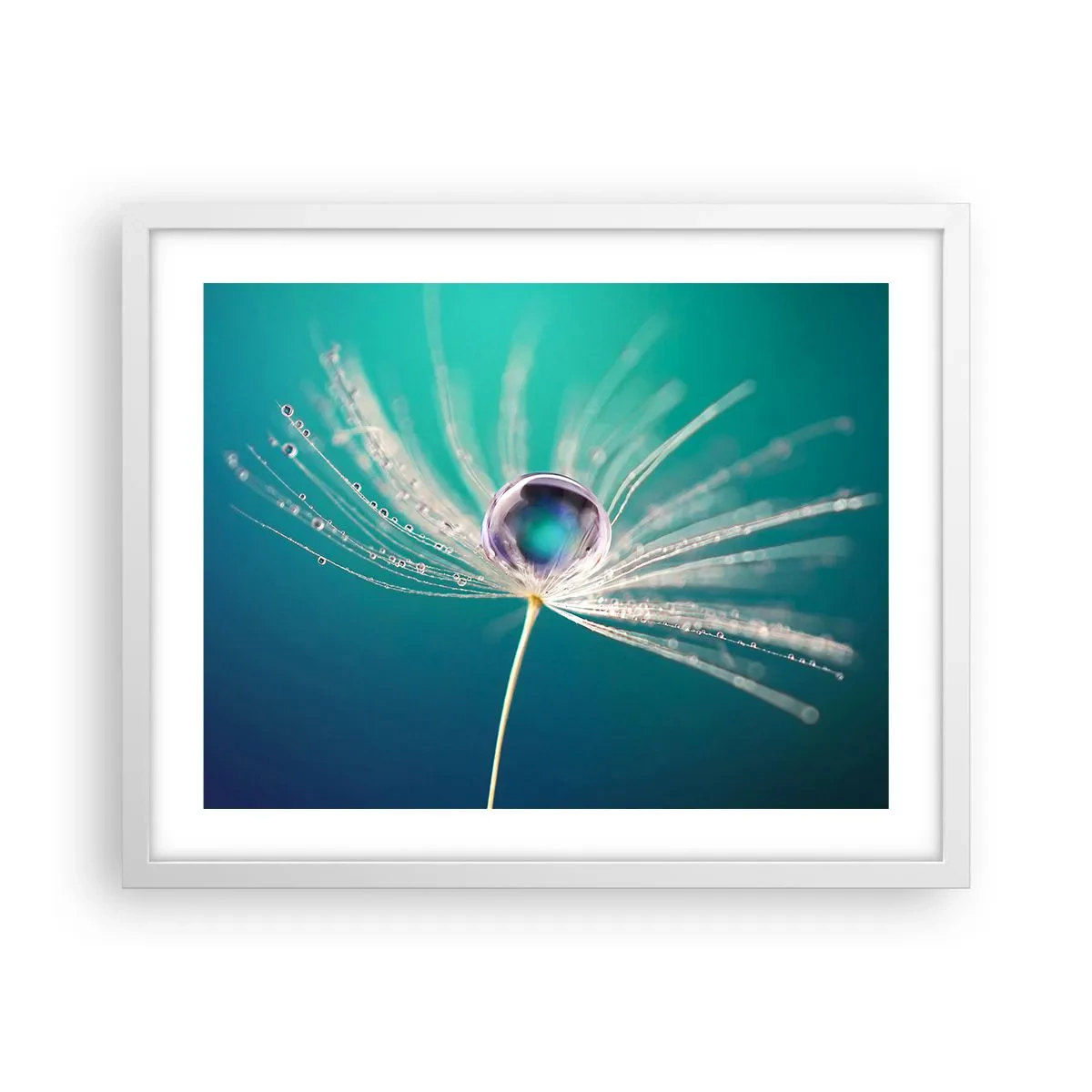 Affiche dans un cadre blanc - Poster - Moment mystique - 50x40 cm