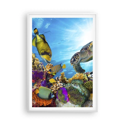 Affiche dans un cadre blanc - Poster - Promenade de corail - 70x100 cm