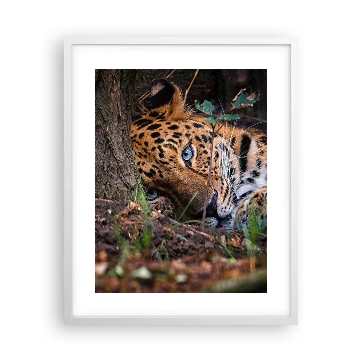 Affiche dans un cadre blanc - Poster - Fais-moi confiance - 40x50 cm