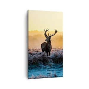 Impression sur toile - Image sur toile - Couronné pour sa succession - 45x80 cm