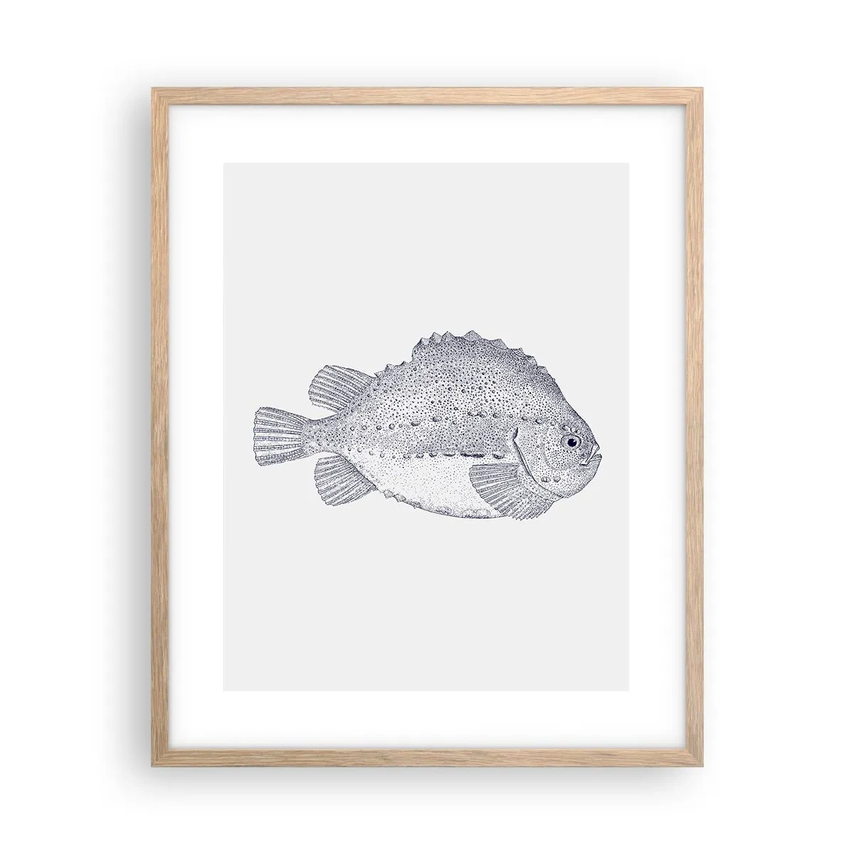 Affiche dans un chêne clair - Poster - Pour l'album du naturaliste - 40x50 cm