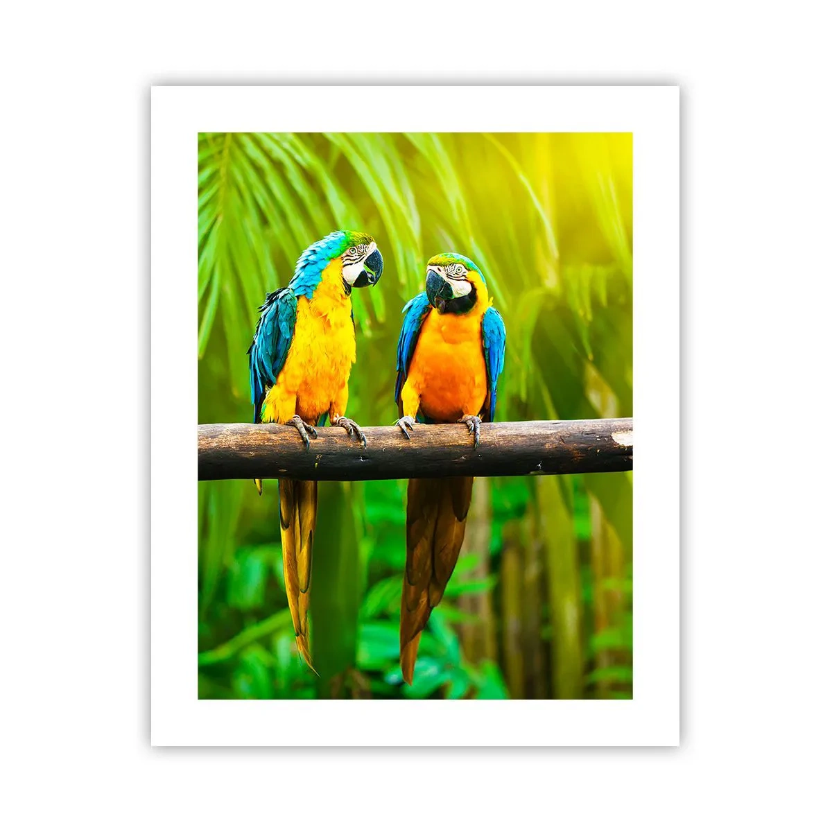 Affiche - Poster - Et avez-vous entendu qu'elle ...? - 40x50 cm
