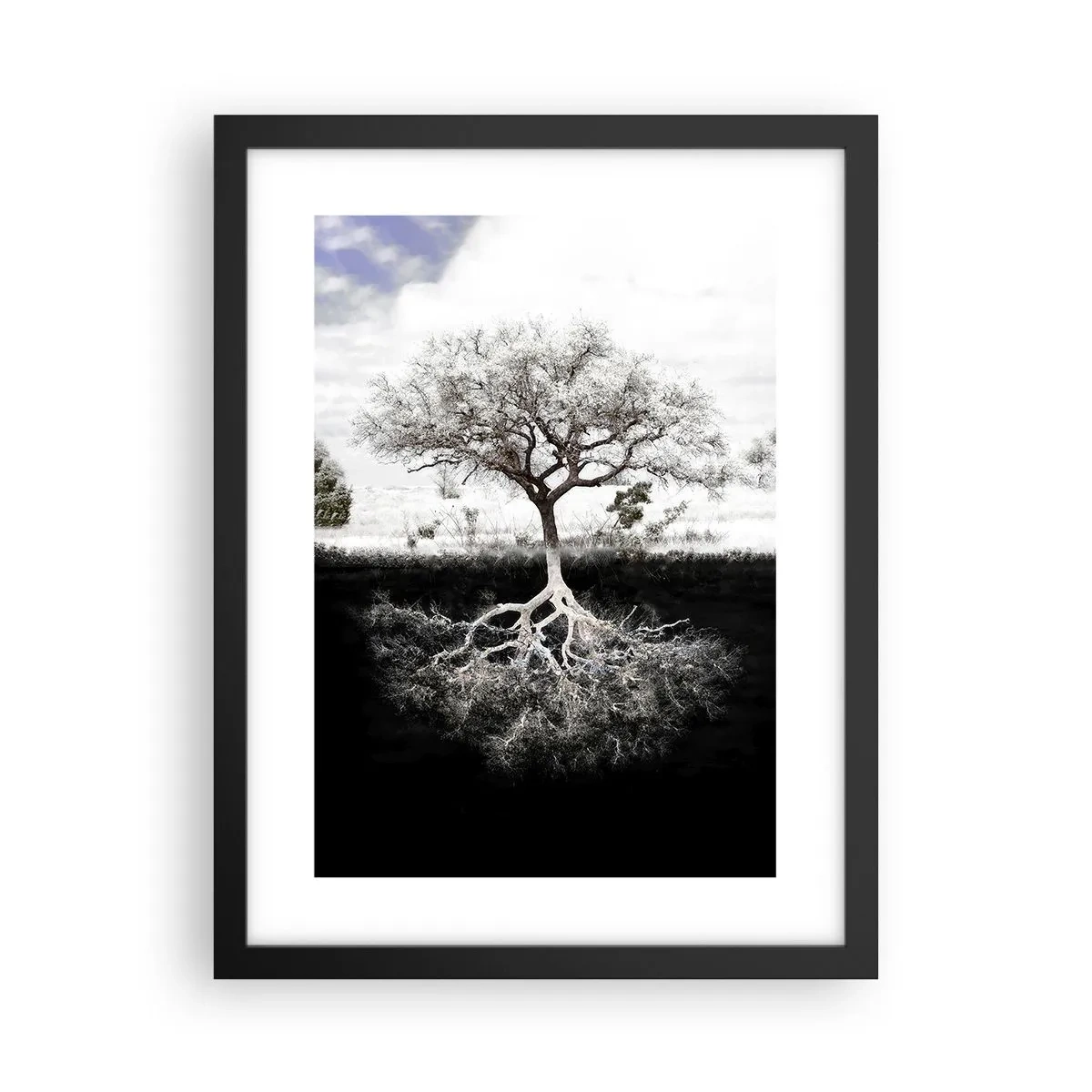 Affiche dans un cadre noir - Poster - Découvrir la nature du monde - 30x40 cm