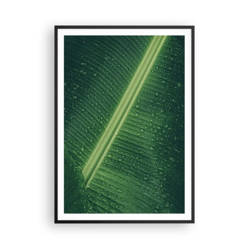 Affiche dans un cadre noir - Poster - Structure de vert - 70x100 cm