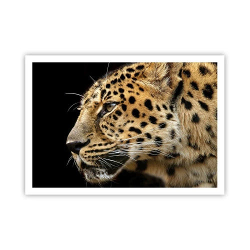 Affiche - Poster - Gros plan d'une tête de léopard sur fond noir - 100x70cm - Calme, concentré, prêt - Décoration murale moderne pour le salon et la chambre ARTTOR