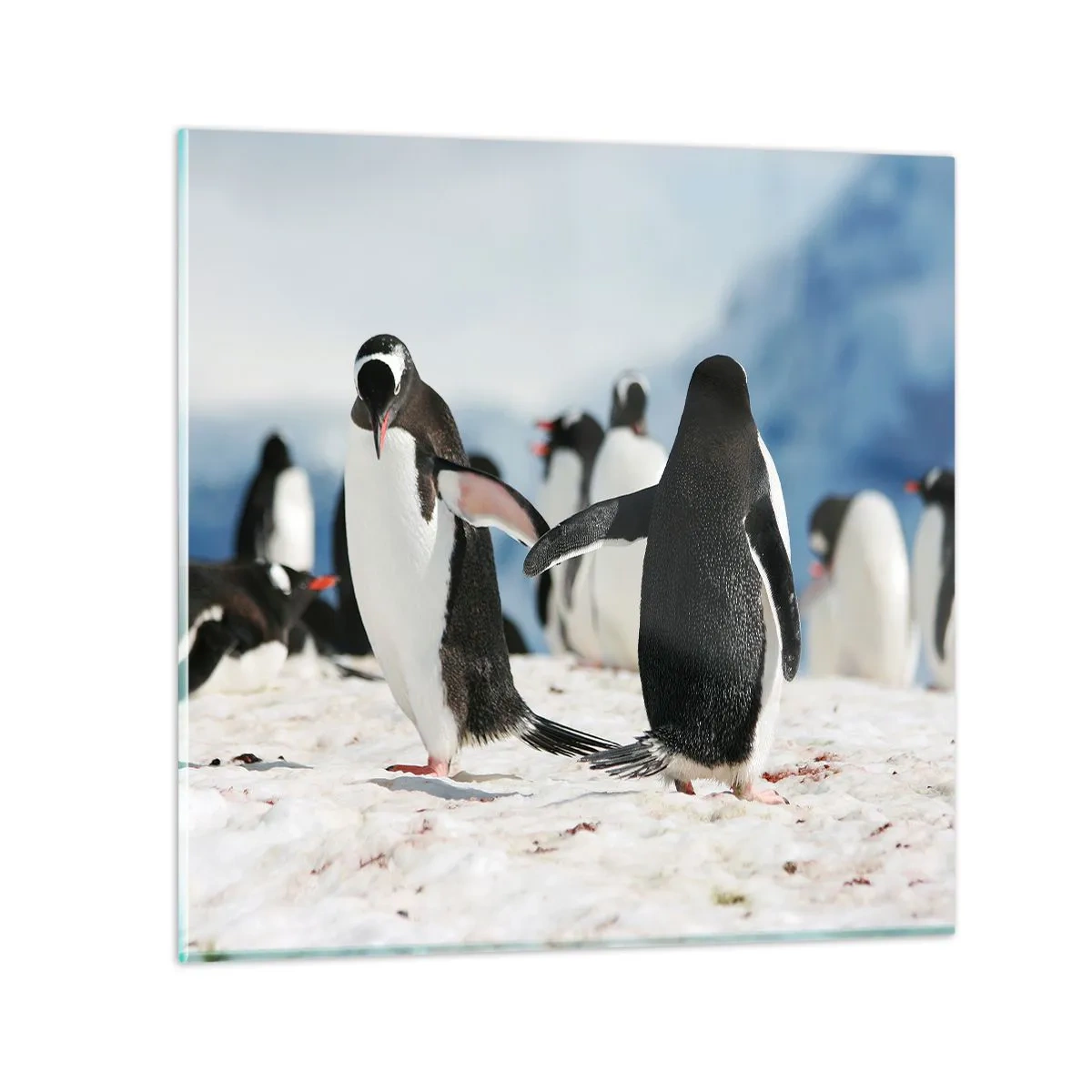 Impression sur verre - Image sur verre - Danser dans la neige - 70x70 cm