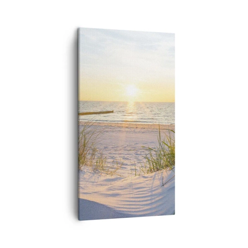 Impression sur toile - Image sur toile - Le bruit de la mer, le chant des oiseaux, une plage sauvage parmi les herbes… - 45x80 cm