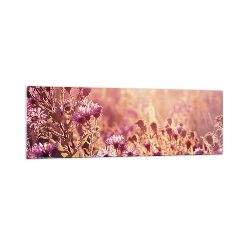 Impression sur verre - Image sur verre - Prairie à la lumière du soleil couchant - 160x50cm - Avant que l'été ne parte - Décoration murale moderne pour le salon et la chambre ARTTOR