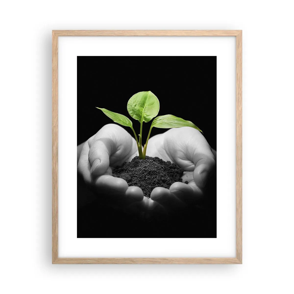 Affiche dans un chêne clair - Poster - J'aime la nature, je la protège - 40x50 cm