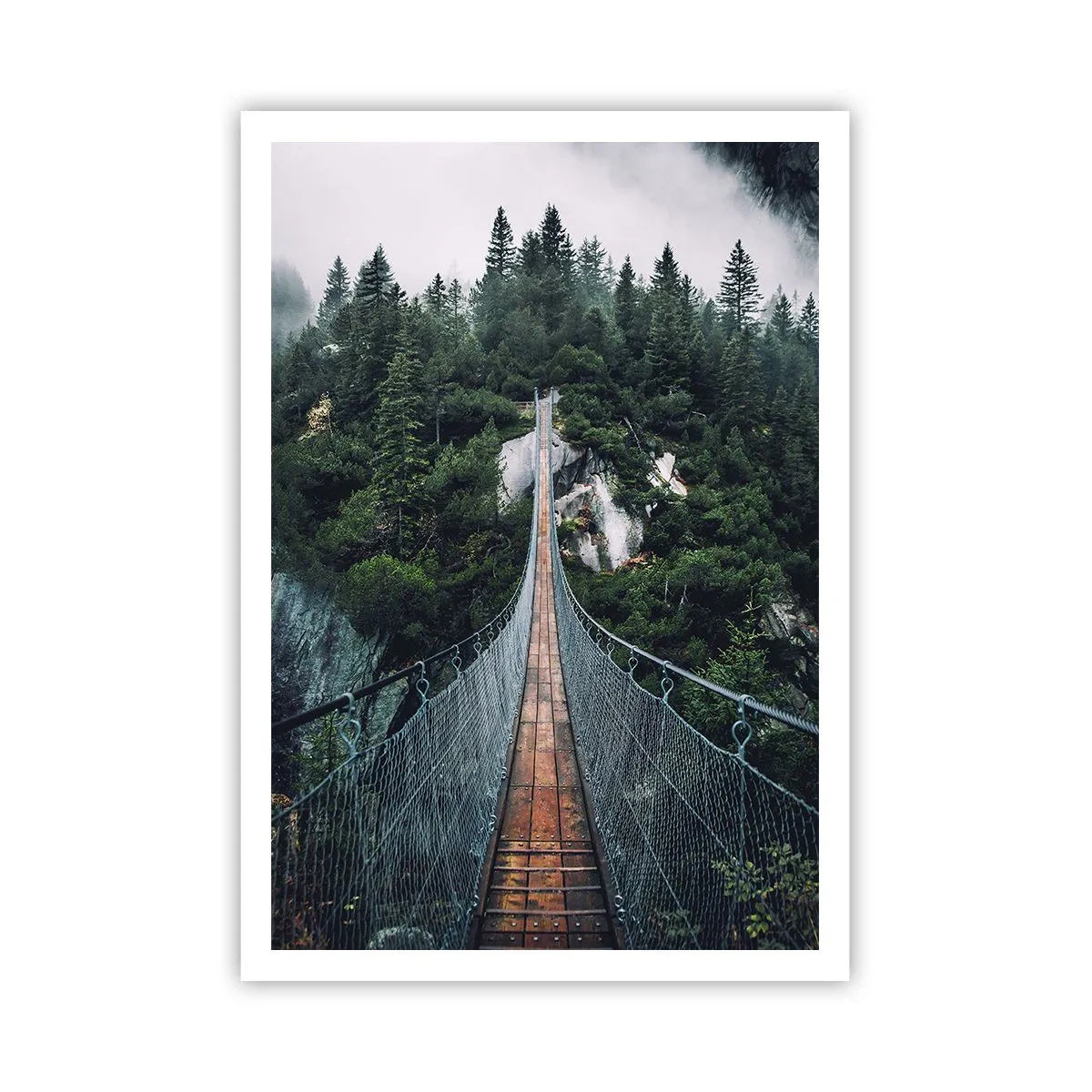 Affiche - Poster - Uniquement pour les aigles - 70x100 cm