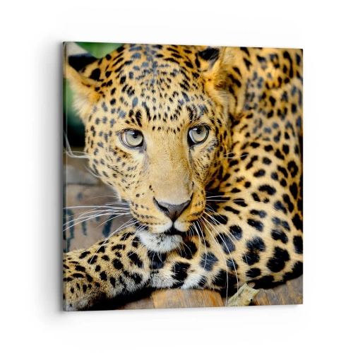 Impression sur toile - Image sur toile - N'aie pas peur, viens - 70x70 cm