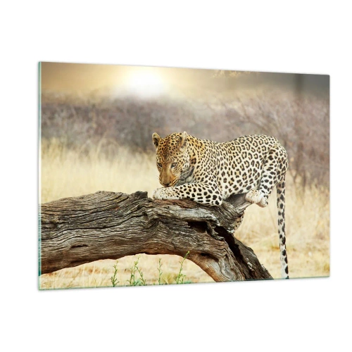 Impression sur verre - Image sur verre - Un léopard se reposant sur une branche en bois - 120x80cm - Je suis ma propre route - Décoration murale moderne pour le salon et la chambre ARTTOR
