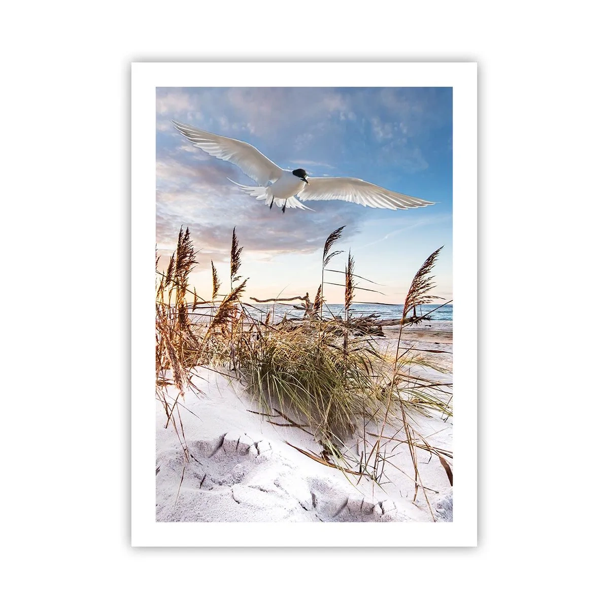 Affiche - Poster - Un oiseau en vol au-dessus des dunes et de la mer au coucher du soleil - 50x70cm - Vent de mer - Décoration murale moderne pour le salon et la chambre ARTTOR