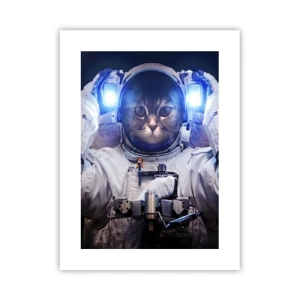 Affiche - Poster - Houston, vous avez un problème - 30x40 cm