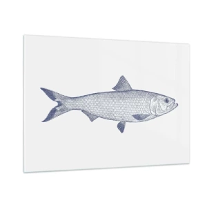 Impression sur verre - Image sur verre - Croquis de poisson de style vintage sur fond clair - 100x70cm - Salutations des mers du nord - Décoration murale moderne pour le salon et la chambre ARTTOR