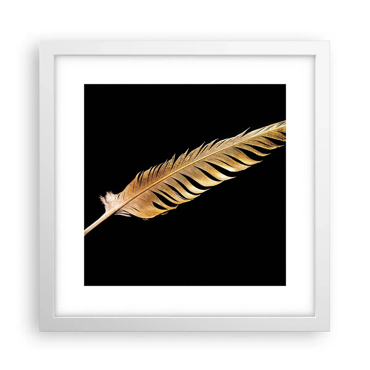 Affiche dans un cadre blanc - Poster - Sans porte-plume - 30x30 cm