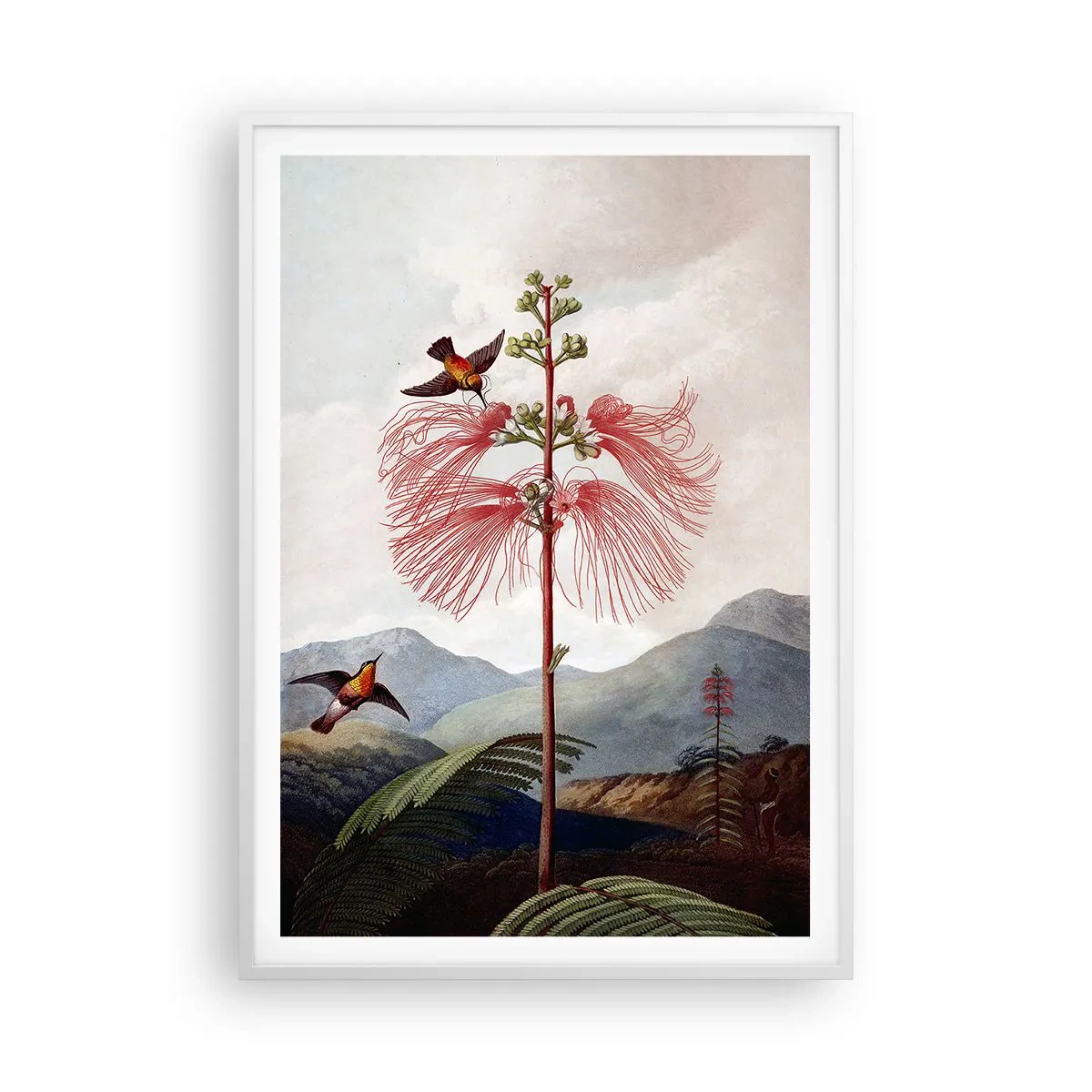 Affiche dans un cadre blanc - Poster - Dans un paradis tropical - 70x100 cm