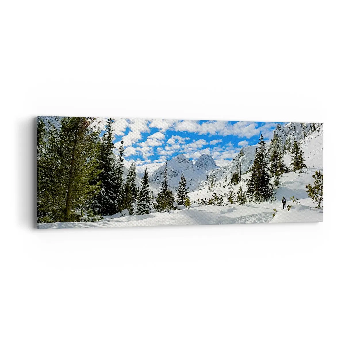 Impression sur toile - Image sur toile - Dans la neige et au soleil - 90x30 cm
