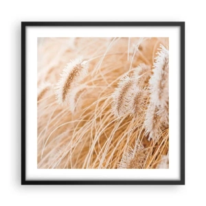 Affiche dans un cadre noir - Poster - Le bruissement doré de l'herbe - 50x50 cm