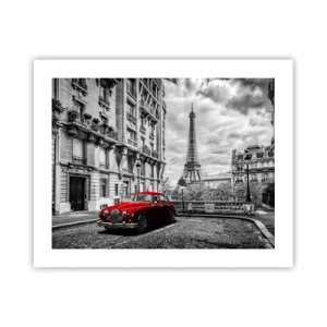 Affiche - Poster - Prédateur dans la ville - 50x40 cm