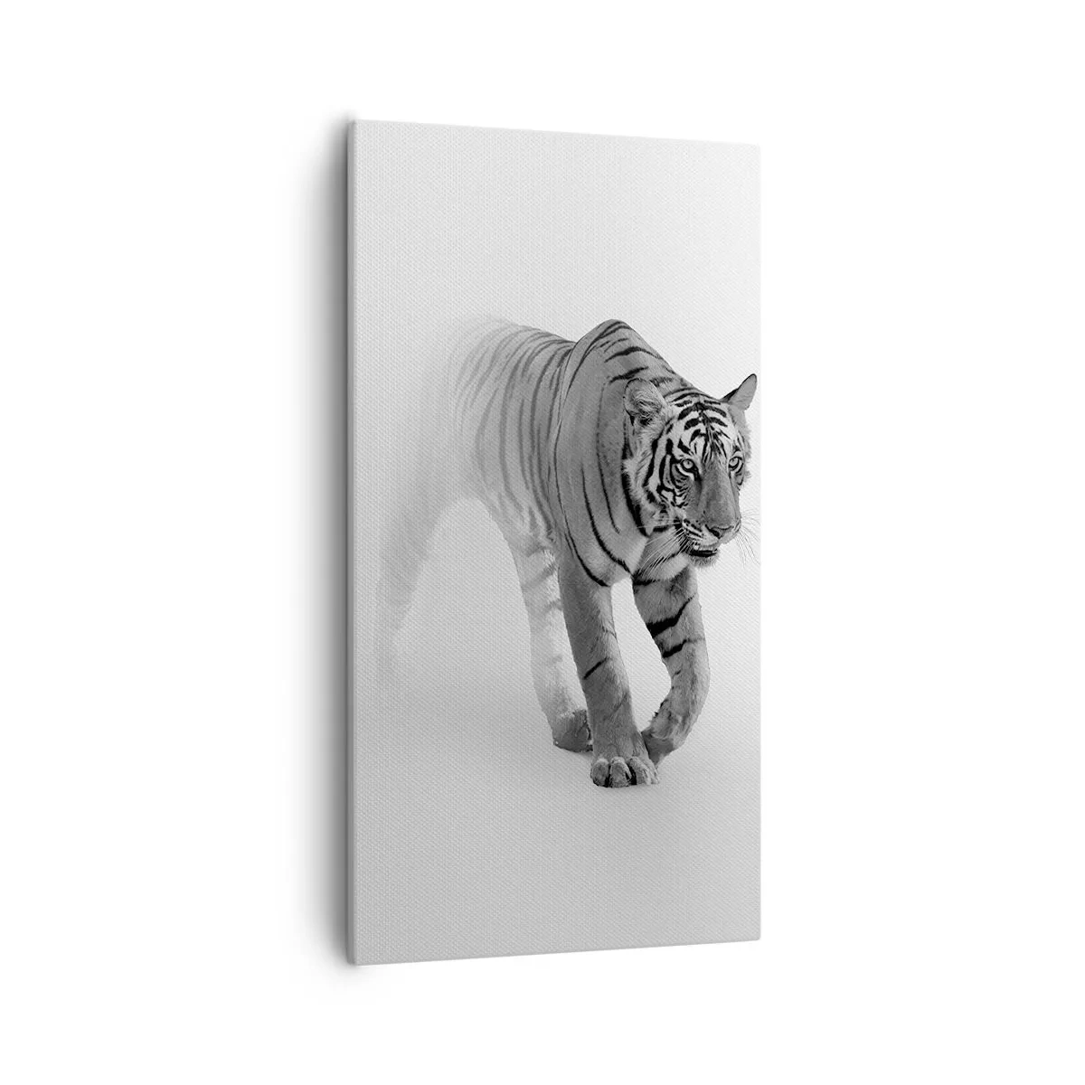 Impression sur toile - Image sur toile - Accroupi dans le brouillard - 55x100 cm