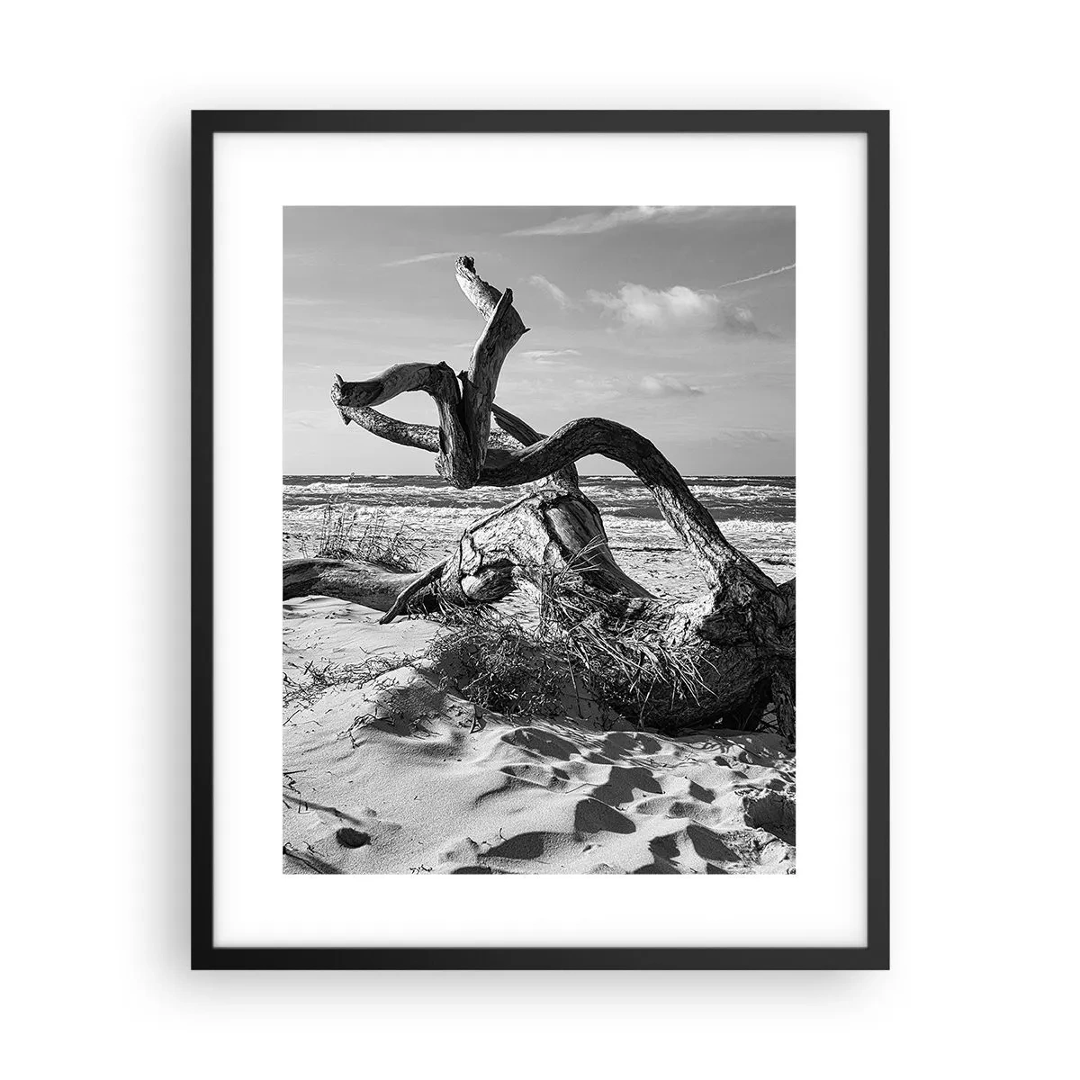 Affiche dans un cadre noir - Poster - Sculpture marine - 40x50 cm
