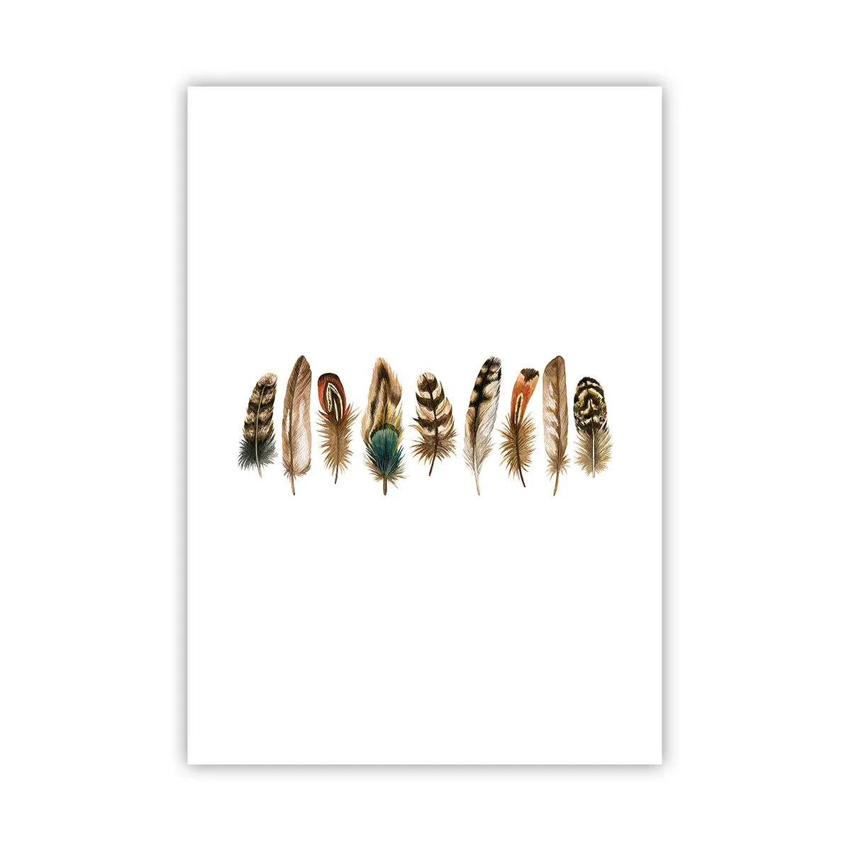 Affiche - Poster - Variation à plumes - 70x100 cm