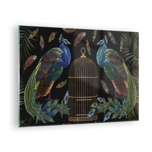 Impression sur verre - Image sur verre - Paons colorés et une cage sur fond noir - 70x50cm - En robes royales - Décoration murale moderne pour le salon et la chambre ARTTOR